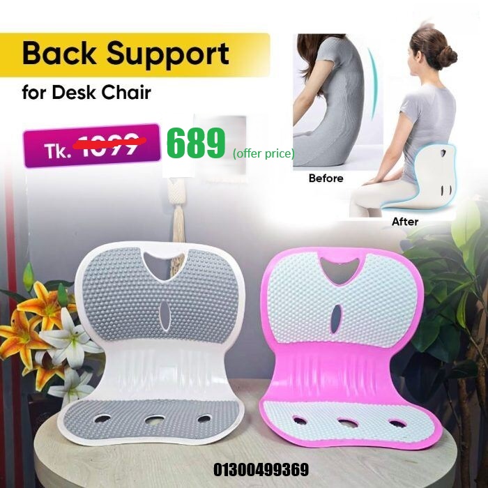 Back Support for Desk Chair